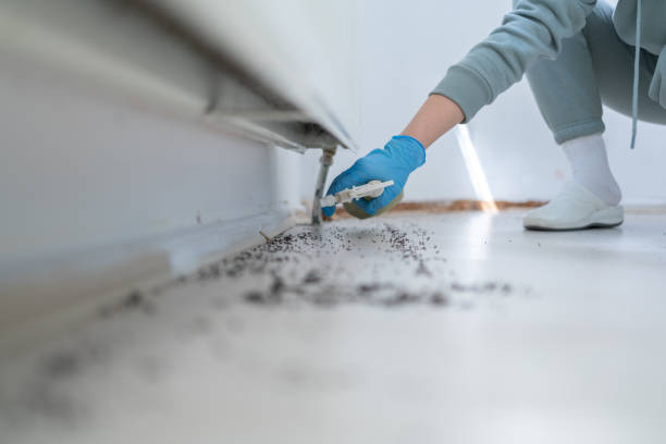 Wildlife Control Services in Welcome, NC